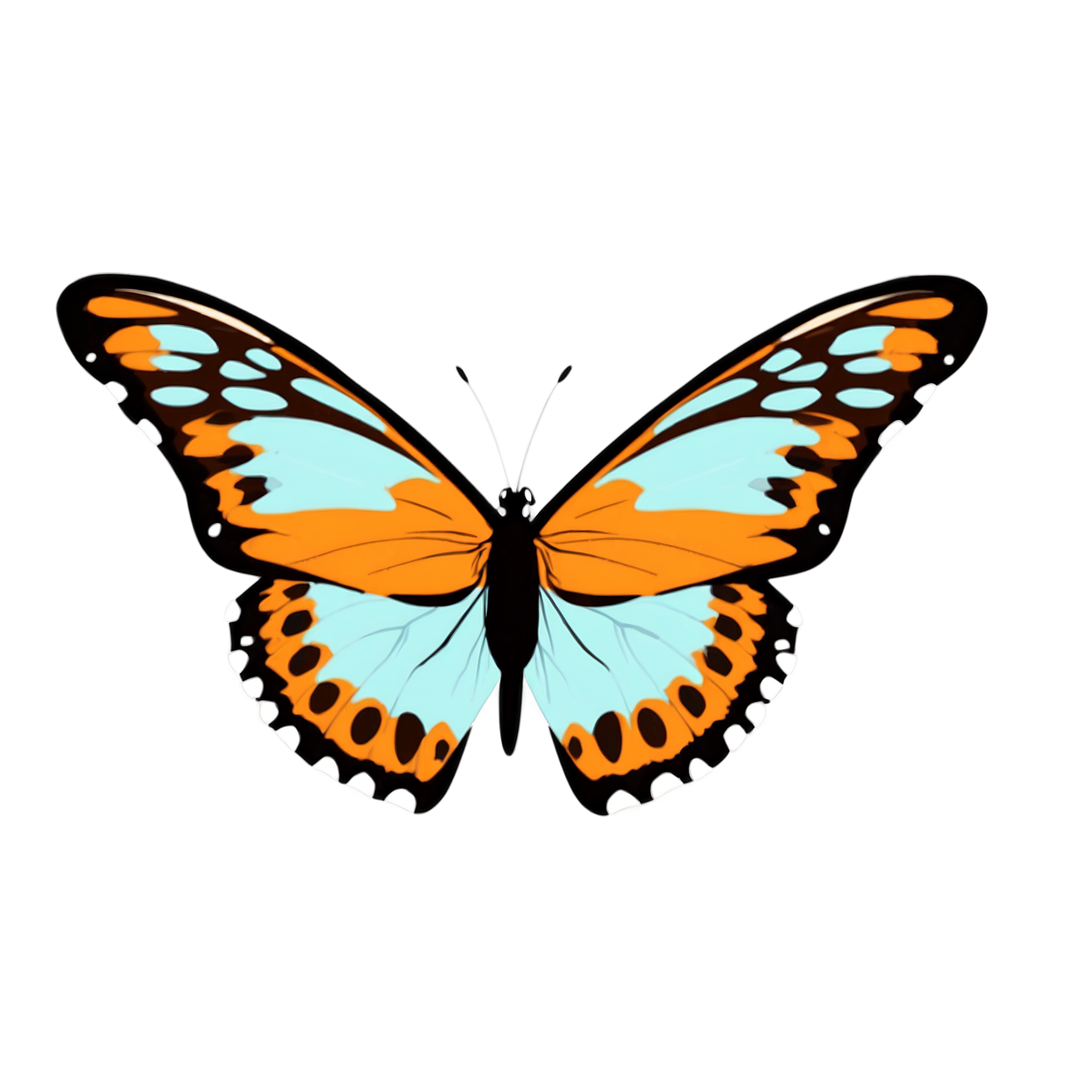AlbedoBase XL Butterfly Icon No shadow full details or high q 2 Butterfly Transparent PNG
