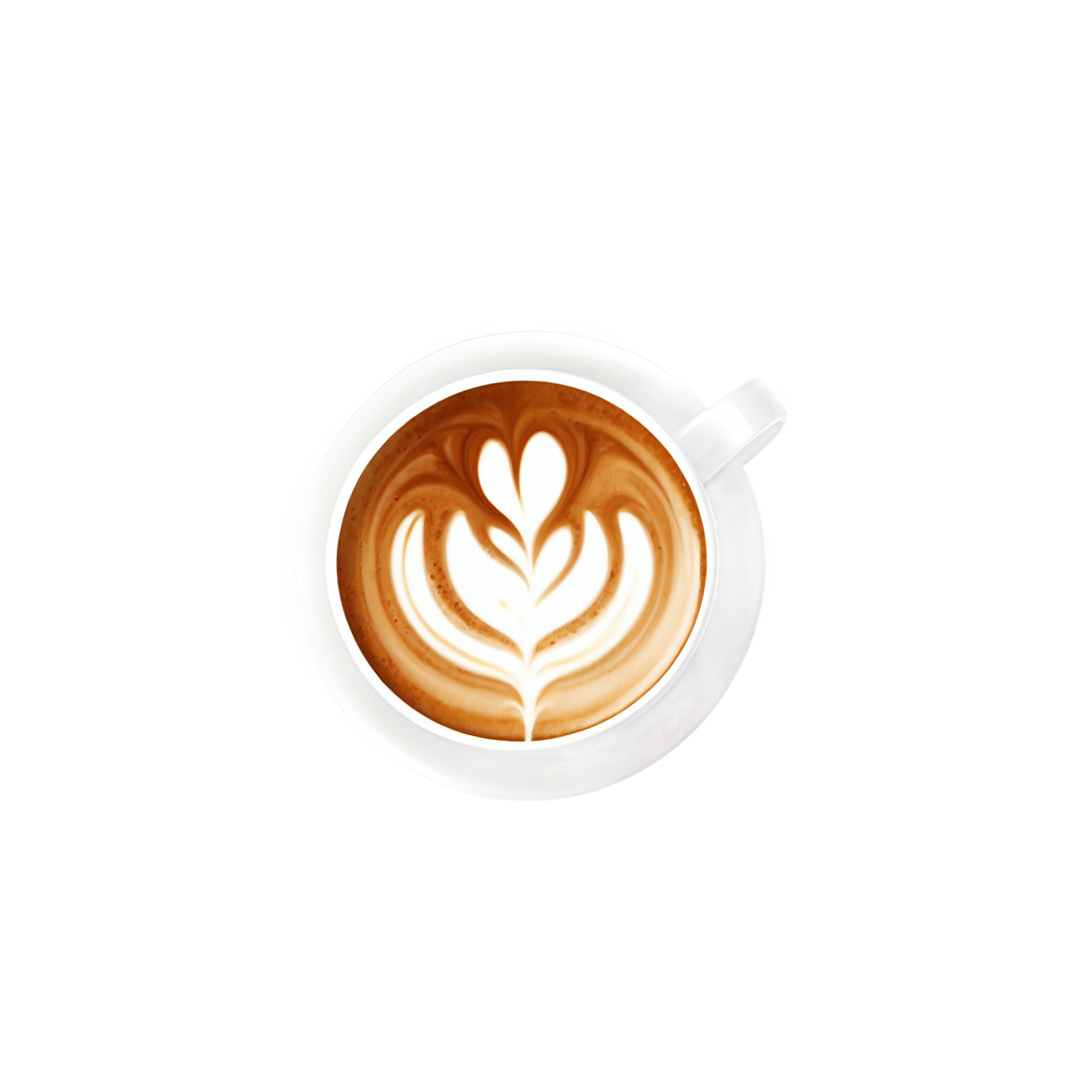 AlbedoBase XL Coffee Latte No shadow full details or high qu 4