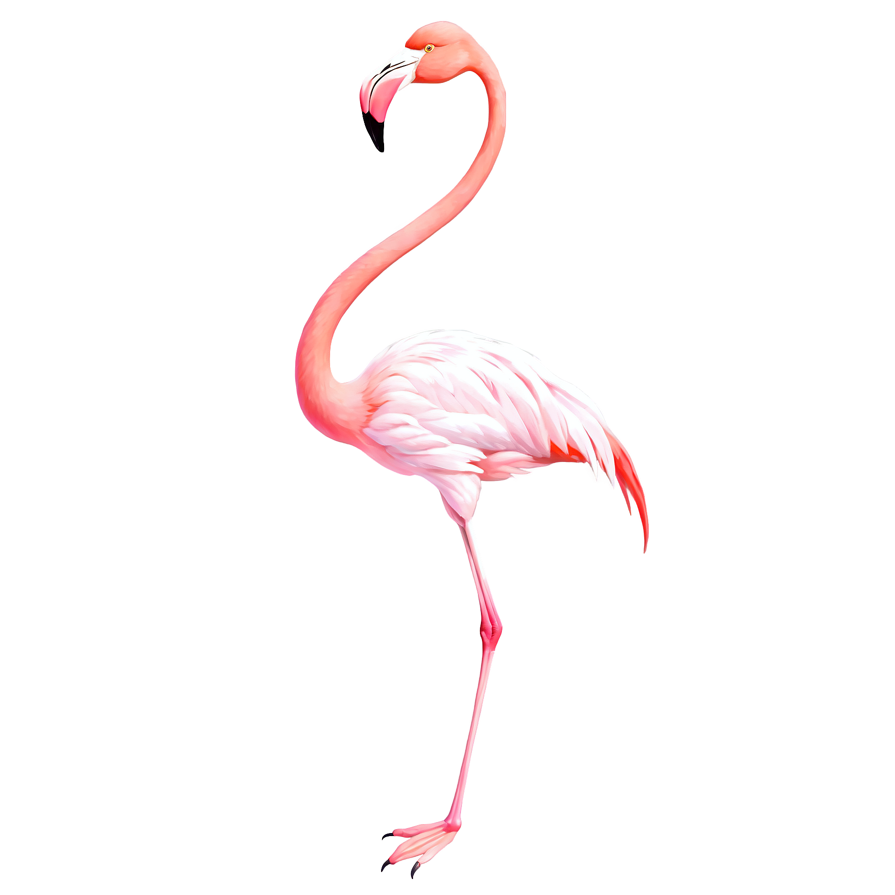 Graphic Design Flamingo full details or high quality 4k realis 5