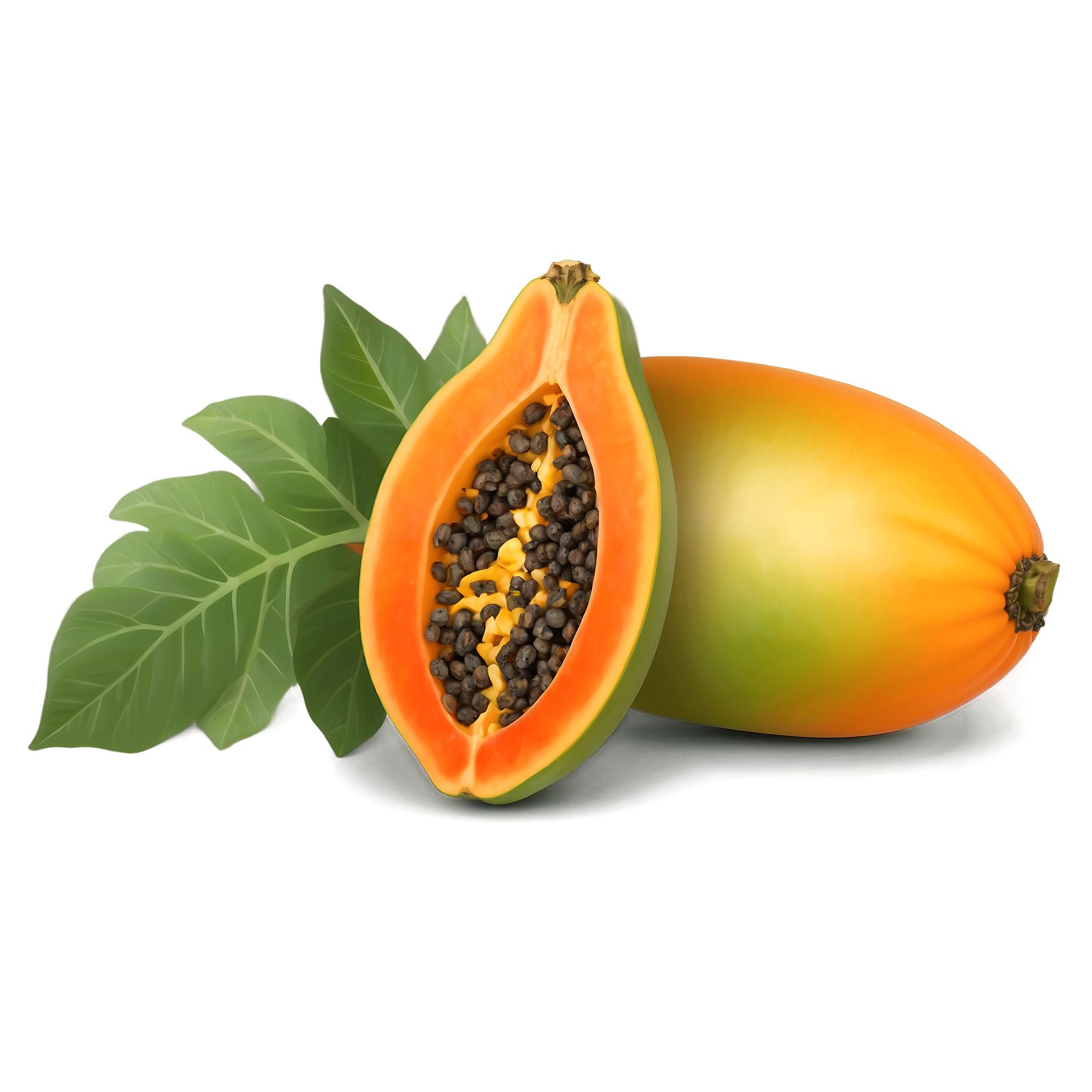 Graphic Design Papaya full details or high quality 4k realisti 3