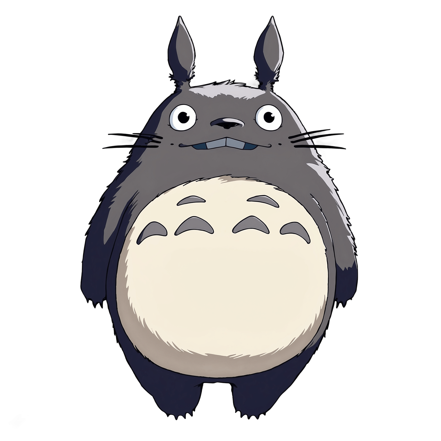 Graphic Design Totoro from My Neighbor Totoro realistic full 7