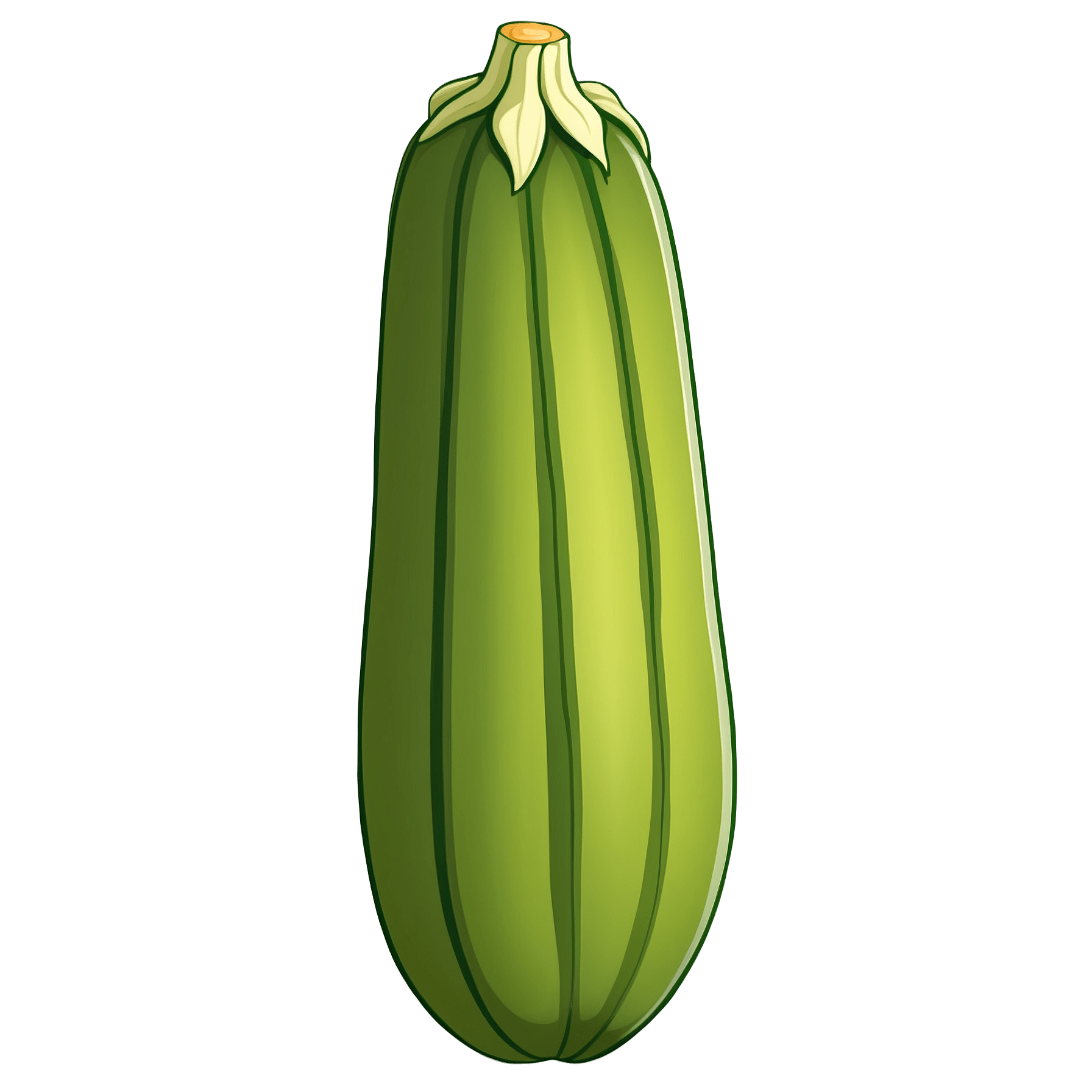 Graphic Design Zucchini full details or high quality 4k realis 2 Zucchini Transparent PNG