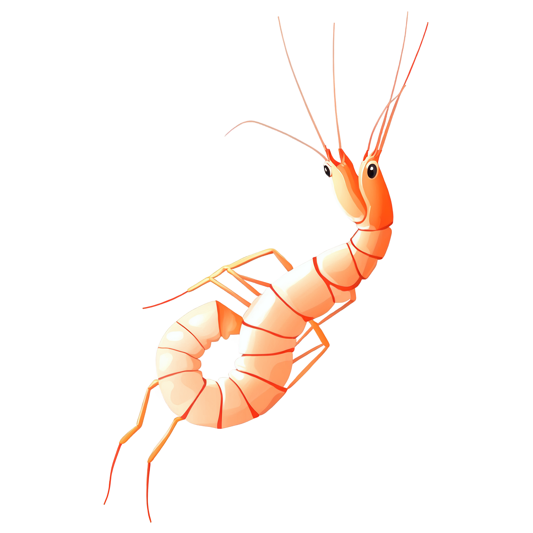 Graphic Design Shrimp full details or high quality 4k realisti 7