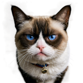 Grumpy Cat PNG