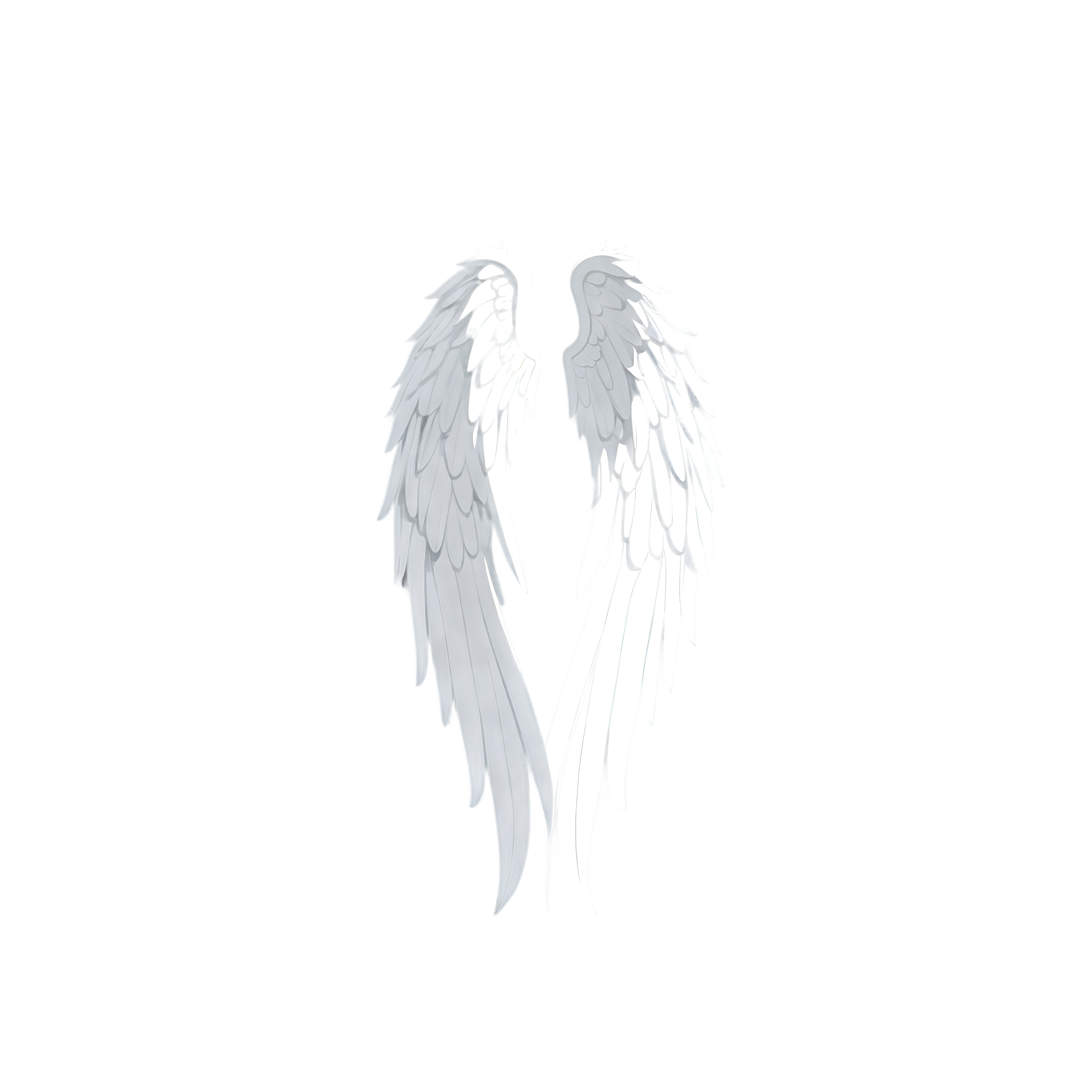 Wings PNG Free Realistic & Transparent Background