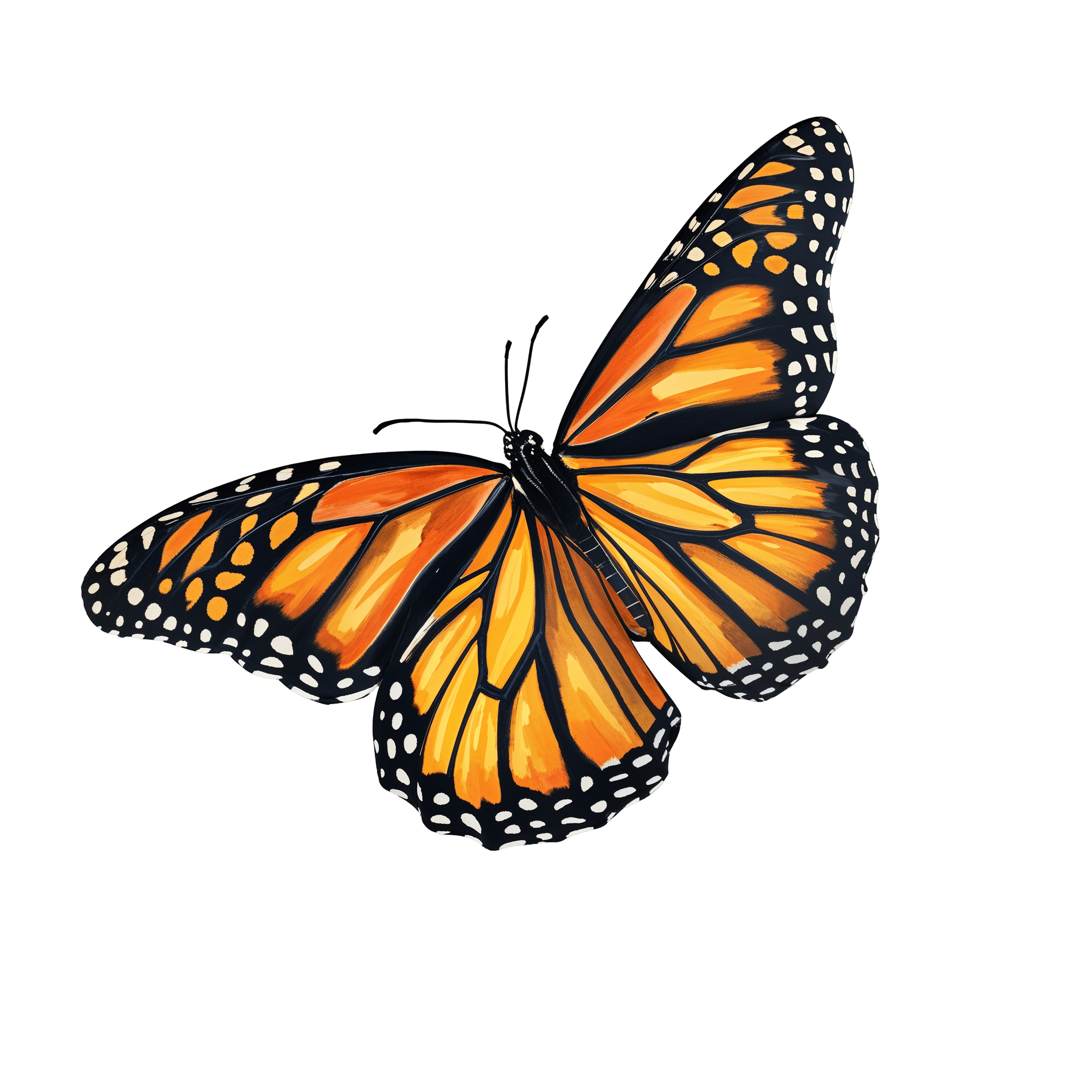 Butterfly PNG No Background Free Insect Illustration