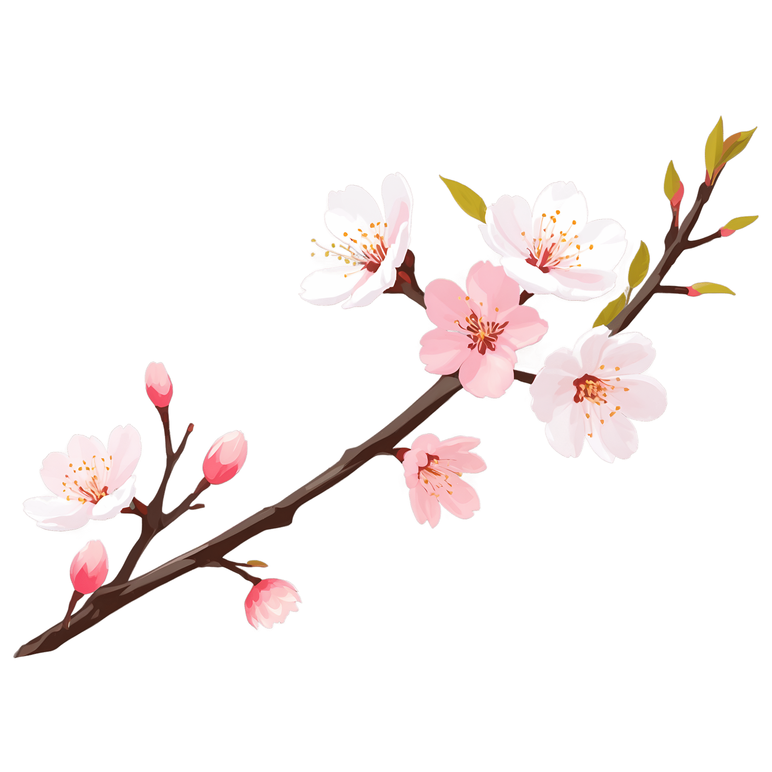 Cherry Blossom PNG Clipart Beautiful Flower Image