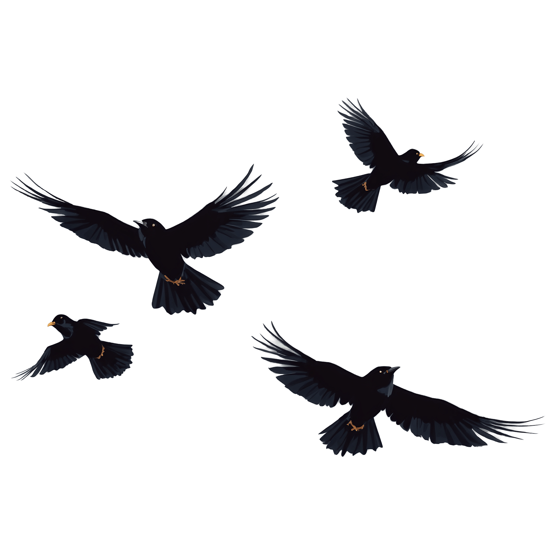 Flying Black Birds PNG Free Download – Transparent Background